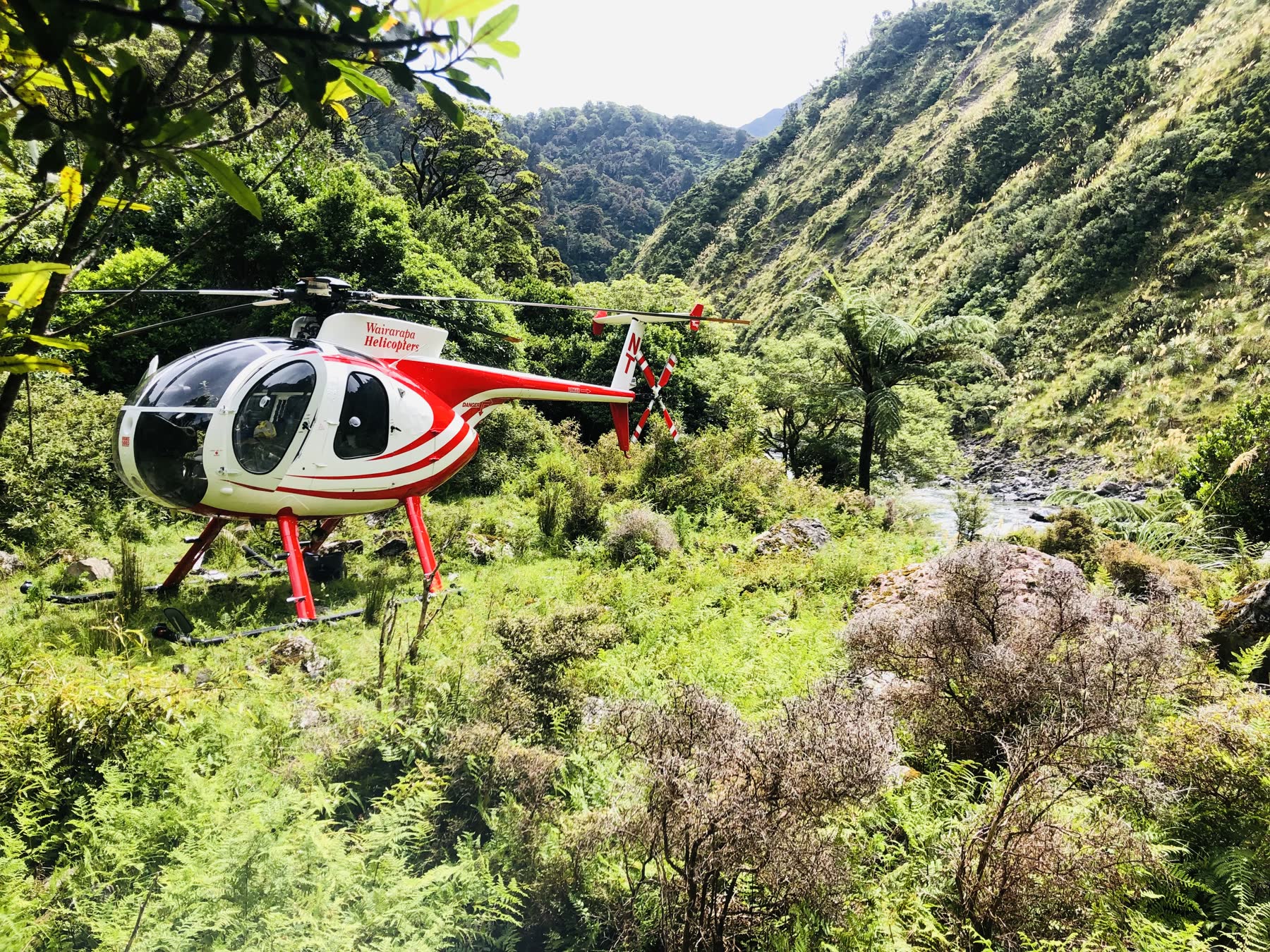 HNT, our red and white Hughes 500D, beside a remote river in native bush