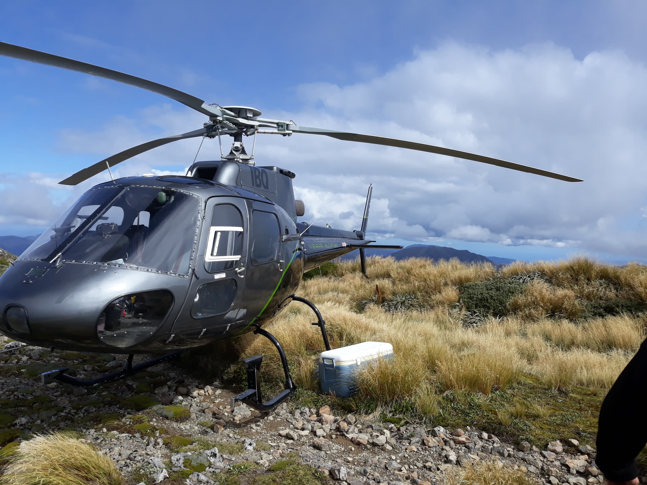 IBQ, our Airbus AS350BA, parked among tussock and rocky ground in the Tararua ranges